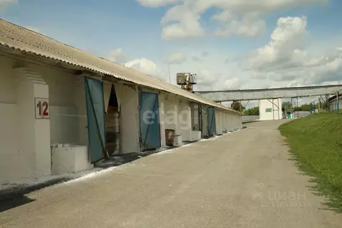 Склад в Белгородская область, Борисовский район, Хотмыжское с/пос, с. ...