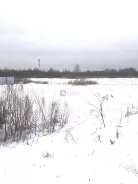 Участок в Тюменская область, Тюменский район, с. Каменка  (7.03 сот.)