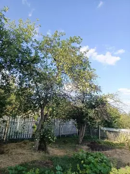 Дом в Самарская область, Красноярский район, Светлое Поле с/пос, ...