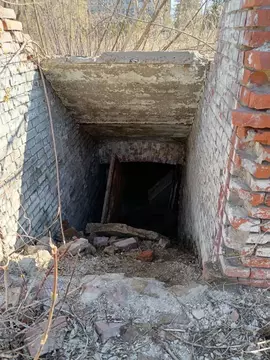 Помещение свободного назначения в Омская область, Омск Горный пер., 1 ...