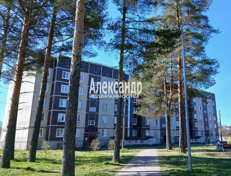 3-к кв. Ленинградская область, Сланцы Молодежный просп., 7А (72.6 м)