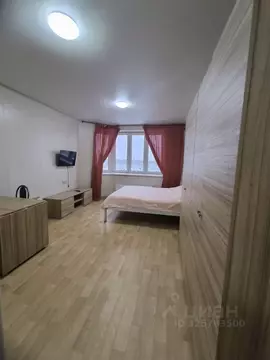 Студия Московская область, Котельники ул. Строителей, 5 (30.0 м)