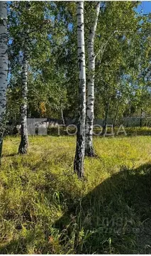 Участок в Новосибирская область, Новосибирский район, Криводановский ...