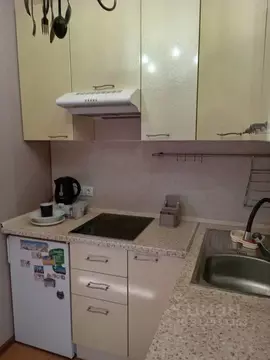 1-к кв. Санкт-Петербург Малая Бухарестская ул., 5к2 (24.0 м)