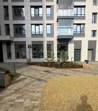 Студия Санкт-Петербург Лисичанская ул., 22 (28.0 м)