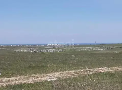 Участок в Крым, Черноморский район, с. Новосельское  (166.84 сот.)