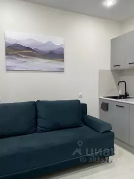 Студия Тюменская область, Тюмень ул. Новоселов, 107к2 (17.0 м)