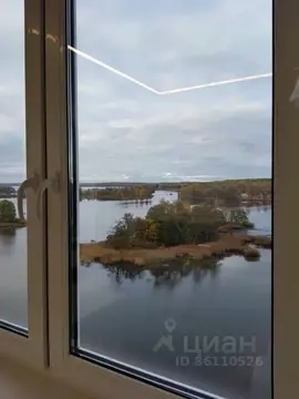 1-к кв. Ленинградская область, Выборг наб. Адмирала Чичагова, 8 (85.0 ...