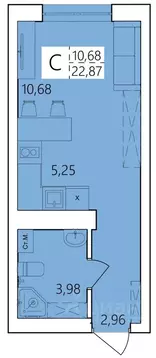 Студия Башкортостан, Уфа ул. Пожарского, 237 (22.87 м)