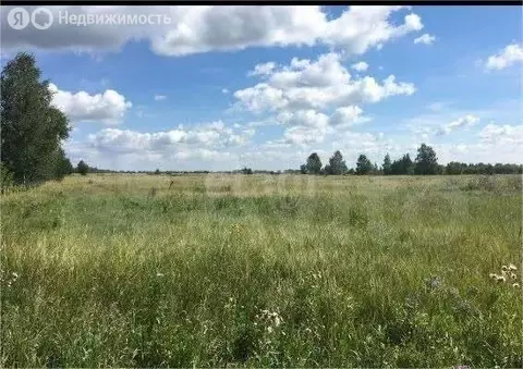 Участок в Челябинская область, Сосновский муниципальный округ, деревня ...