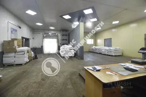 Производственное помещение в Пензенская область, Пенза ул. Антонова, ...