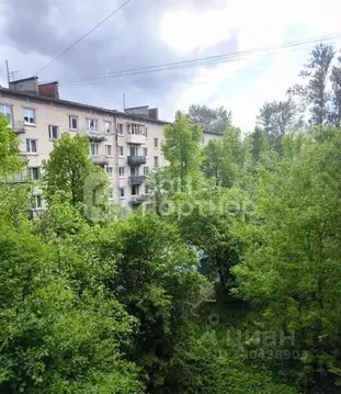 3-к кв. Санкт-Петербург ул. Ольги Берггольц, 17 (74.3 м)