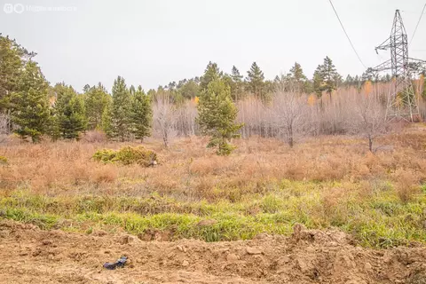 Участок в Тарбагатайский район, сельское поселение Саянтуйское, село ...