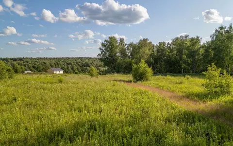 Участок в Московская область, Ступино городской округ, с. Старая Ситня ...