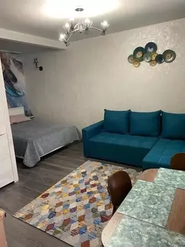 1-к кв. Ленинградская область, Выборг Крепостная ул., 39 (28.0 м)