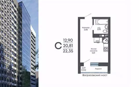 Студия Воронежская область, Воронеж Нижняя ул., 32 (22.35 м)