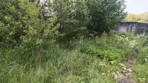 Участок в Тульская область, Веневский район, Центральное с/пос, с. ...