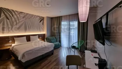 Студия Краснодарский край, Сочи городской округ, Дагомыс пгт ул. ...