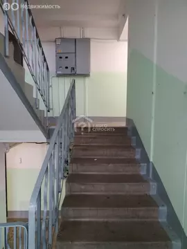 2-комнатная квартира: Петергоф, Чичеринская улица, 5к1 (50.2 м)