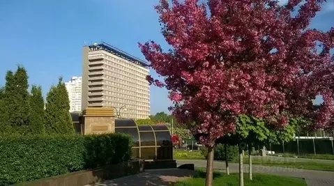 Комната Москва Мичуринский просп., 8С1 (10.0 м)