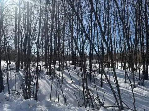 Участок в Московская область, Солнечногорск городской округ, д. Мостки ...