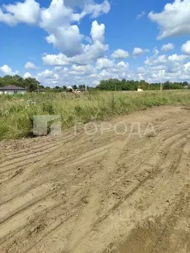 Участок в Алтайский край, Первомайский район, с. Санниково ул. ...