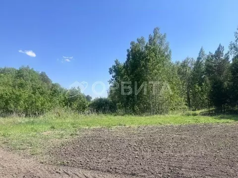 Участок в Тюменская область, Тюменский муниципальный округ, с. Кулига, ...