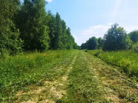 Участок в Тульская область, Ясногорский район, Иваньковское с/пос, ...
