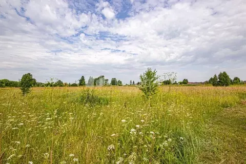 Участок в Новосибирская область, Коченевский район, Эко-городок ...