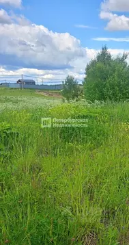 Участок в Ленинградская область, Ломоносовский район, Гостилицкое ...