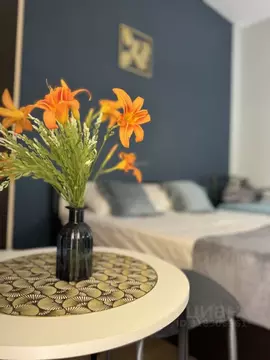 Студия Севастополь с. Орловка, ш. Качинское, 35А (20.0 м)