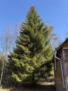 Участок в Ленинградская область, Выборгский район, Полянское с/пос, ...