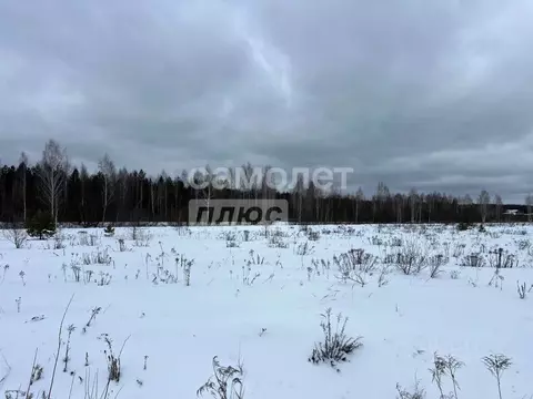 Участок в Брянская область, Брянский район, Стекляннорадицкое с/пос, ...