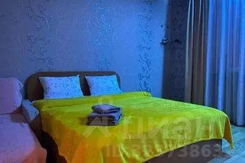 1-к кв. Сахалинская область, Южно-Сахалинск просп. Мира, 269 (42.0 м)