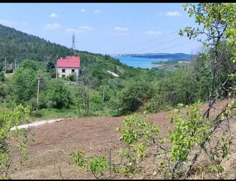 Участок в Крым, Симферопольский район, Добровское с/пос, Лозовое-3 ...