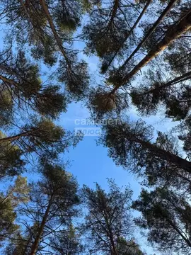 Участок в Свердловская область, Сысерть Сосновый Бор мкр,  (10.0 сот.)