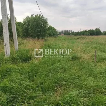 Участок в Ярославская область, Ярославский муниципальный округ, д. ...