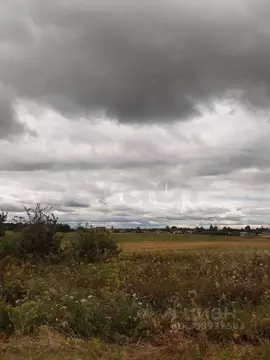 Участок в Брянская область, Выгоничский район, Орменское с/пос, пос. ...