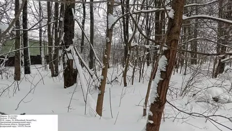 Участок в Московская область, Дмитровский муниципальный округ, с. ...