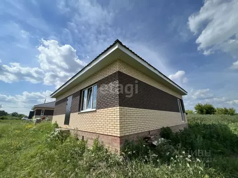 Дом в Самарская область, Красноярский район, Новосемейкино городское ...