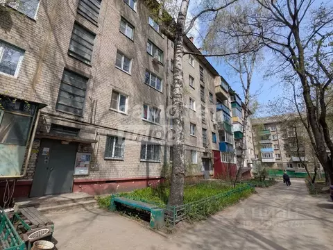 1-к кв. Липецкая область, Липецк ул. П.А. Папина, 27 (28.0 м)