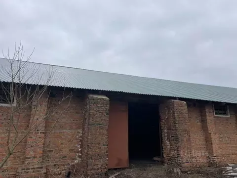 Склад в Московская область, Истра муниципальный округ, д. Кострово ул. ...