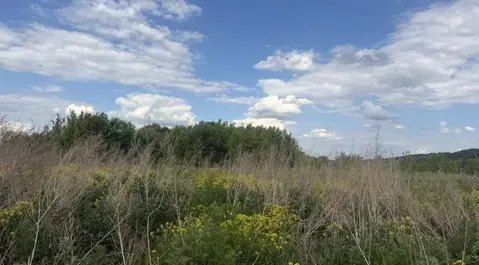 Участок в Московская область, Серпухов городской округ, д. Подмоклово  ...