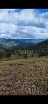 Участок в Алтай, Чемальский район, Элекмонарское с/пос, Седьмое Небо ...