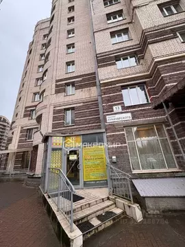 Помещение свободного назначения в Санкт-Петербург просп. Луначарского, ...