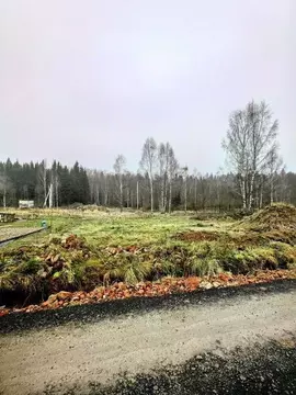 Участок в Московская область, Дмитровский муниципальный округ, ...