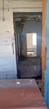 Помещение свободного назначения в Алтайский край, Алтайский район, с. ...