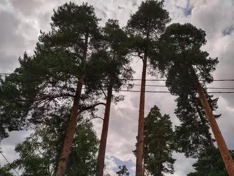 Участок в Пензенская область, Пенза проезд 1-й Спартаковский (10.0 ...