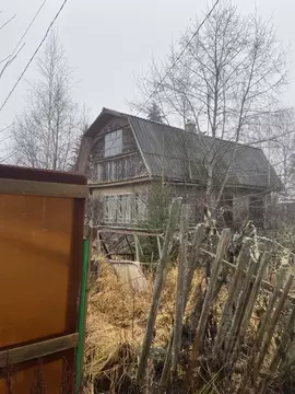 Дом в Ленинградская область, Лужский район, Мшинское с/пос, Дивенская ...