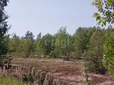 Склад в Калужская область, Дзержинский муниципальный округ, Жилетово ...